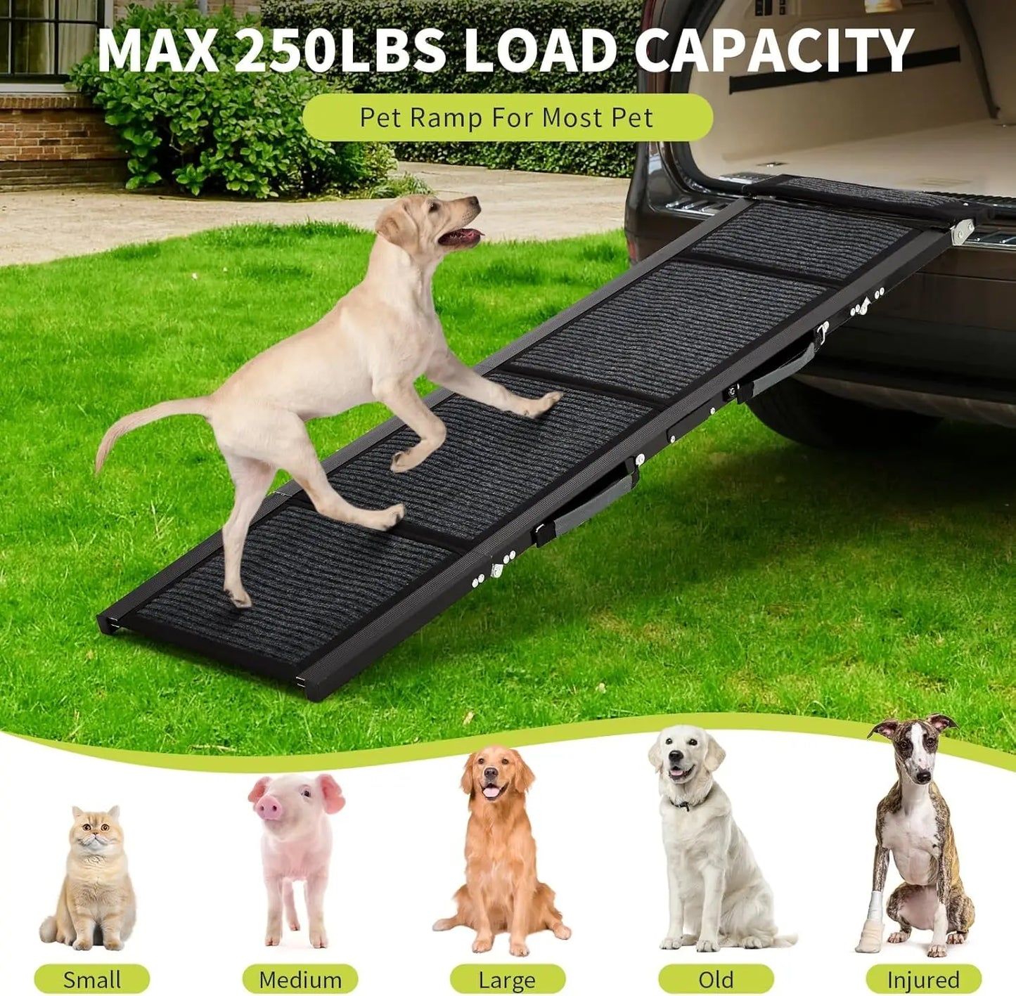 HiMISS Car Dog Ramp Folding Pet Steps for Portable Use