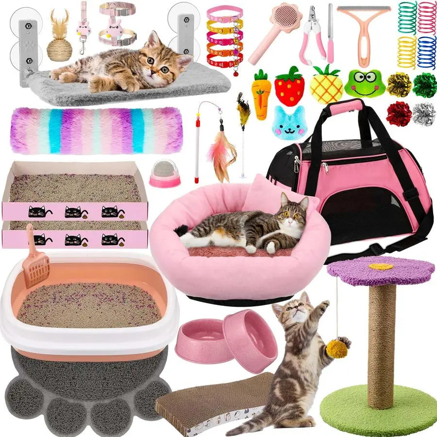 Kitten Starter Kit Indoor Cats With Toys Litter Box Hammock