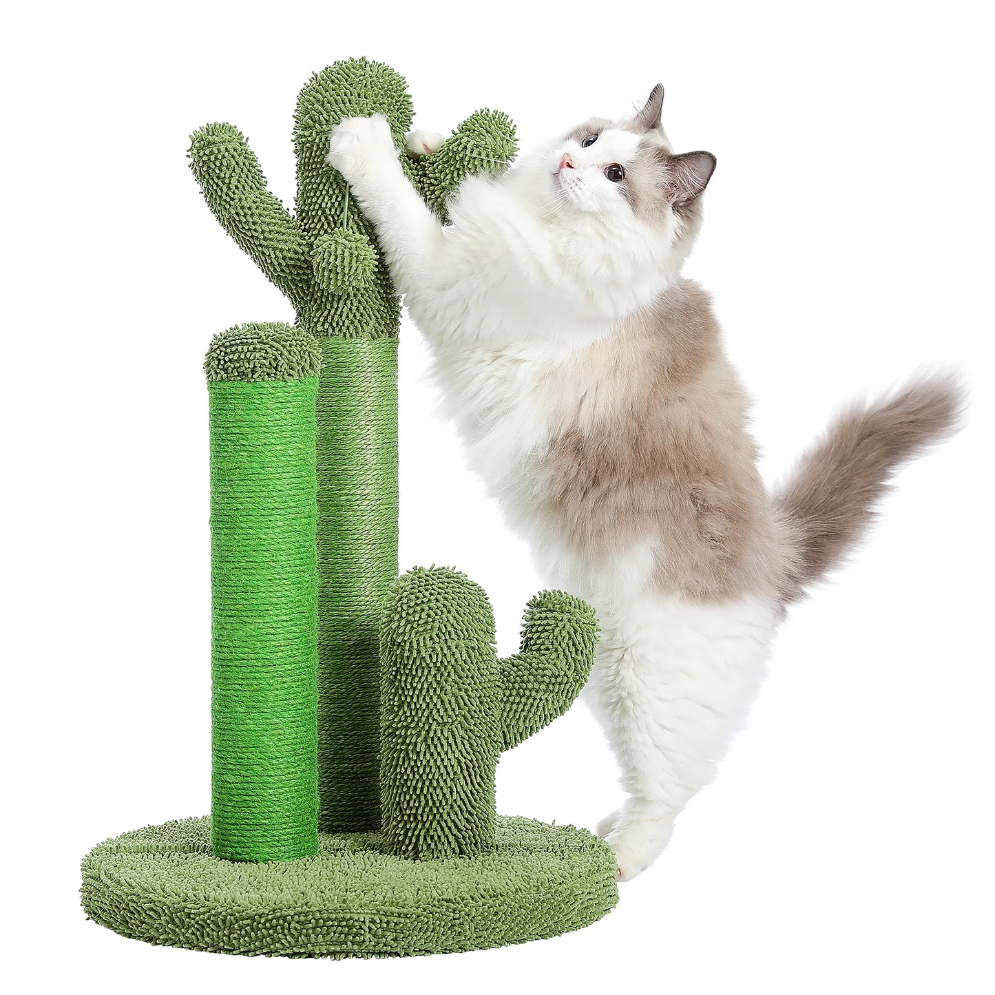 PAWZ Road Cactus Cat Scratcher Scratching Post Interactive Ball