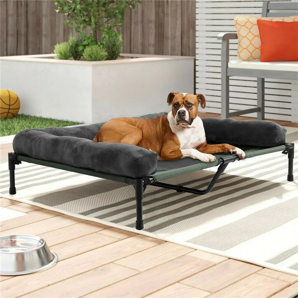 BINGOPAW Elevated Indoor Outdoor Dog Bed With Detachable Plush Bolster