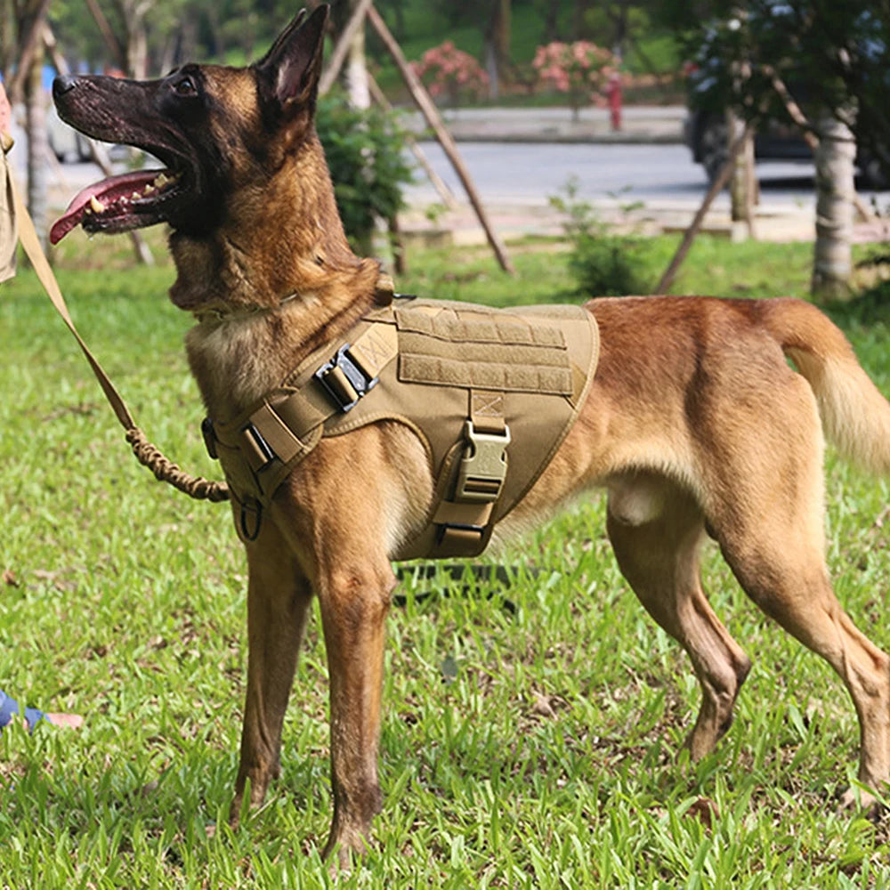 PETRAVELCN Dog Harness And Leash Vest For German Shepherd Malinois