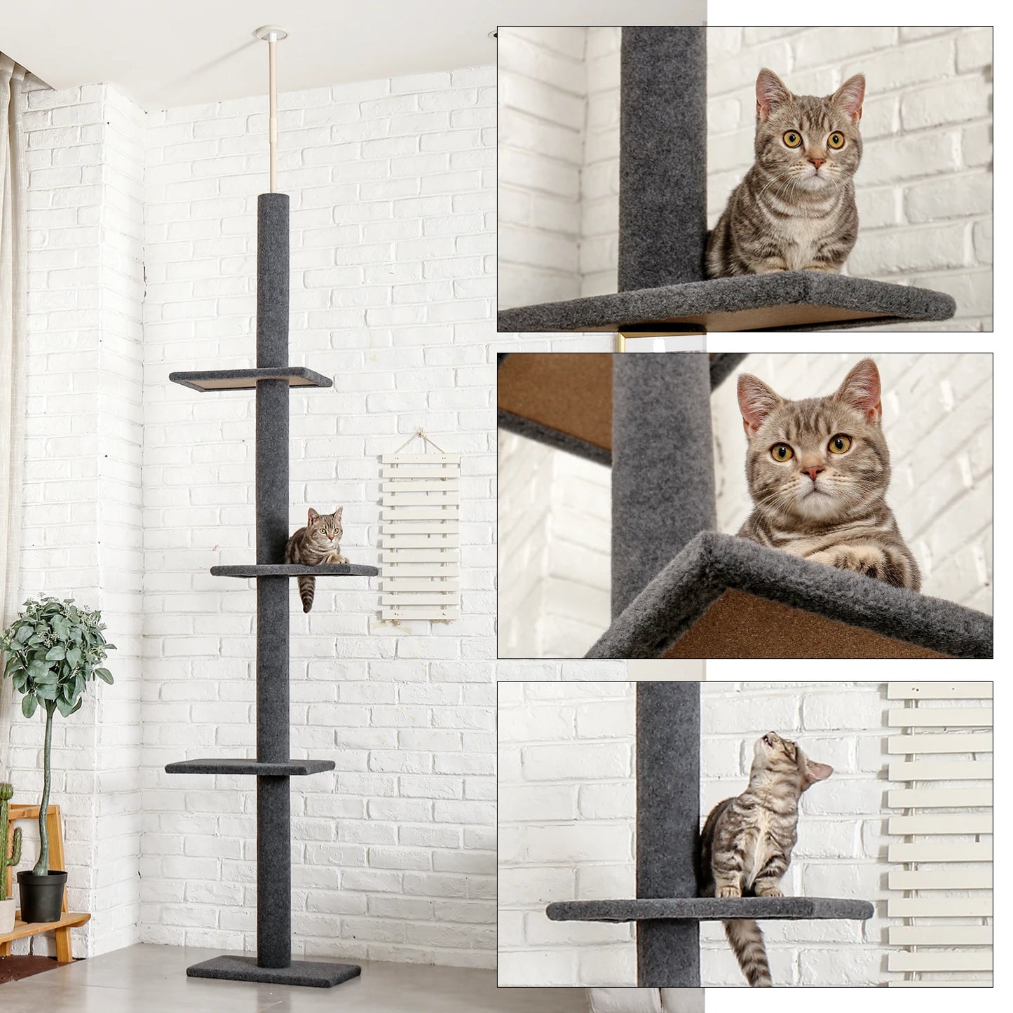 PEQULTI Adjustable Cat Tree Tower With Scratching Posts For Indoor Fun