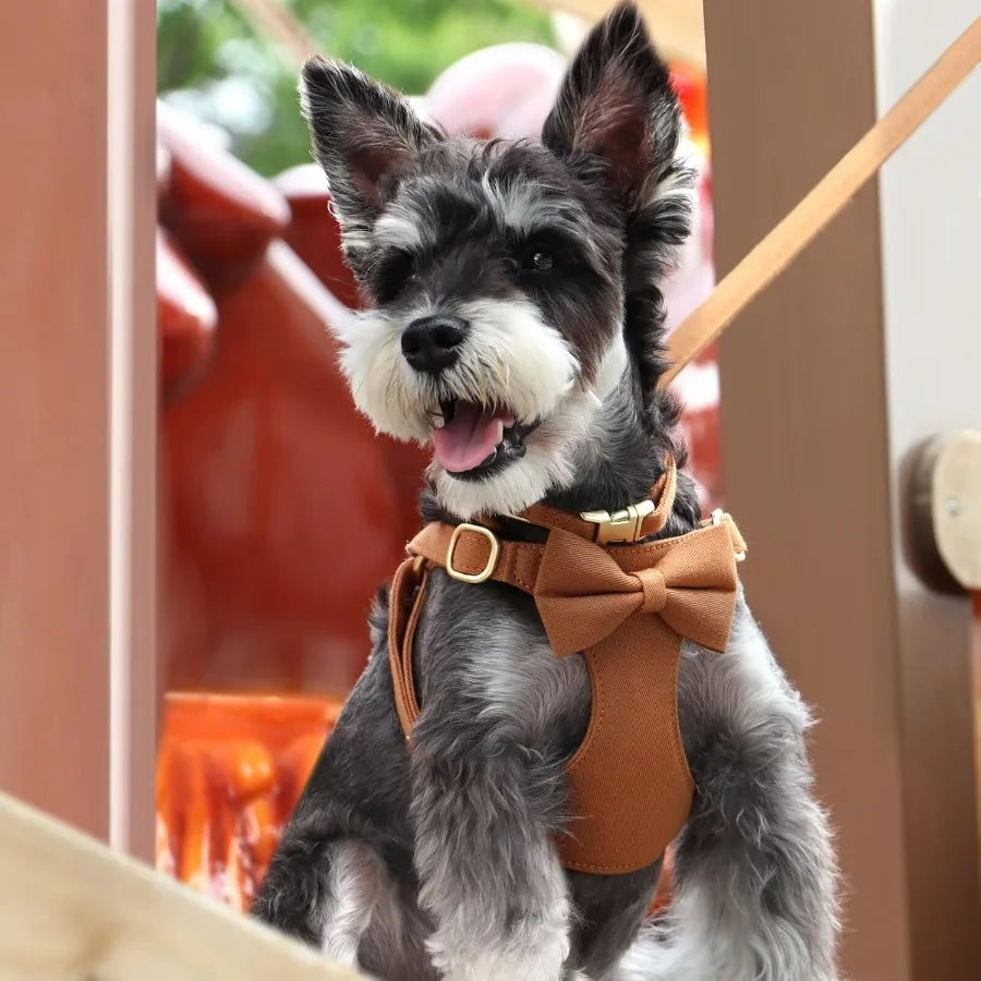 Dog Harness Set With Detachable Bows Adjustable Step In Harness Leash