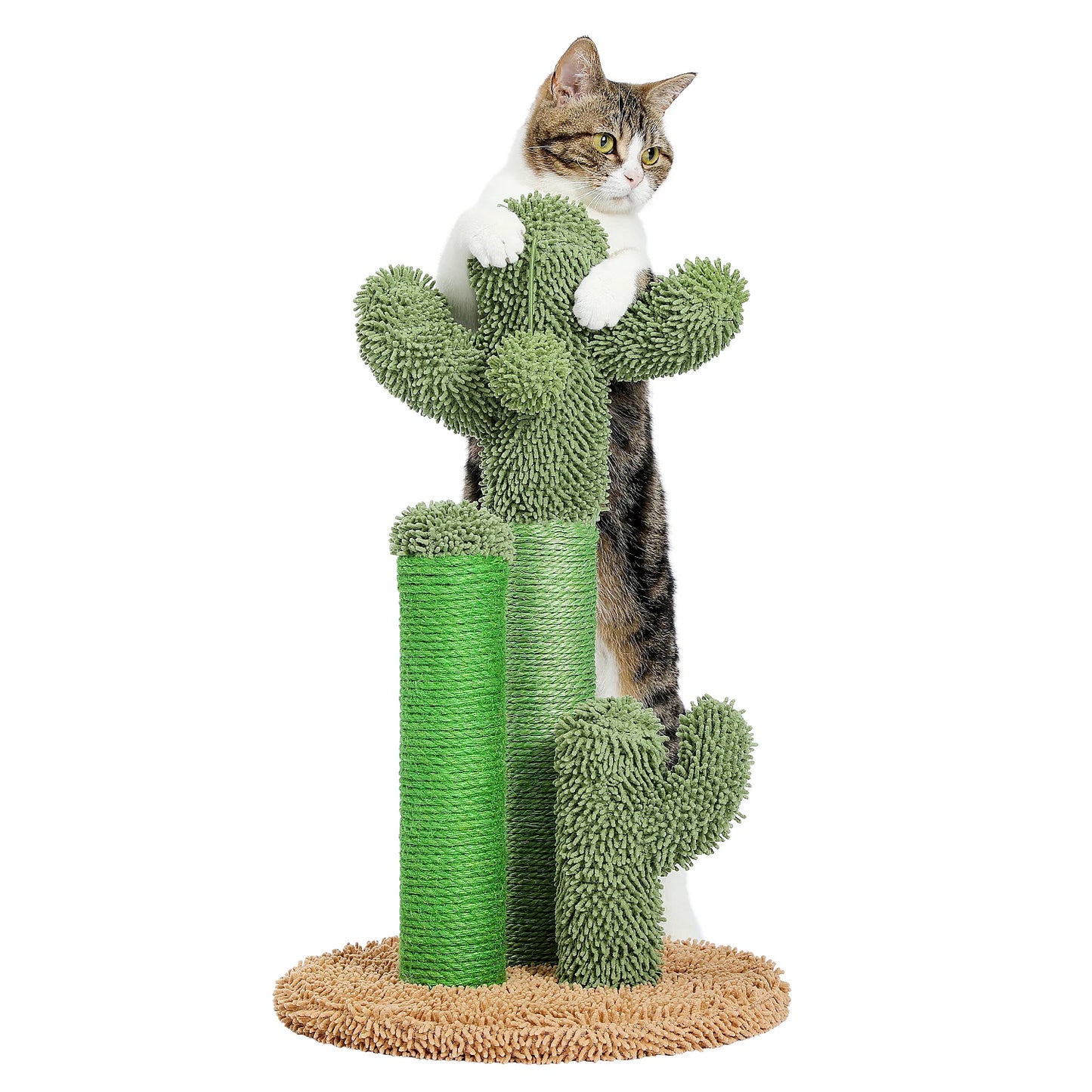 PAWZ Road Cactus Cat Scratcher Scratching Post Interactive Ball
