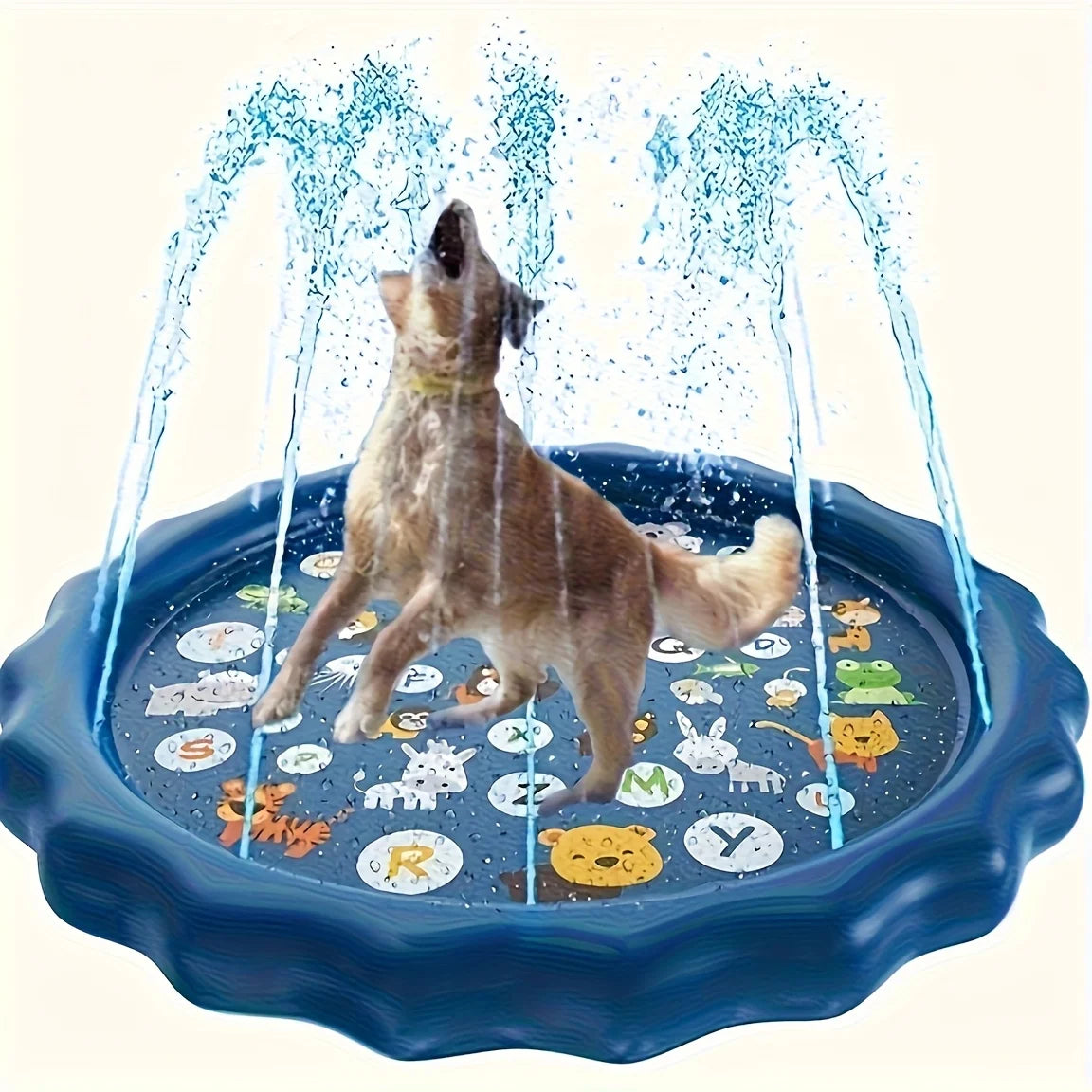 Heavy Duty Outdoor Pet Bath Basin With Water Spray Function