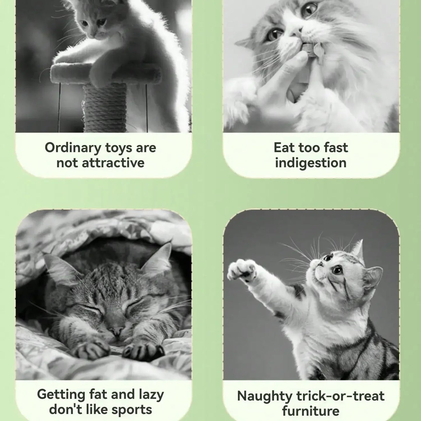 Guangdong Planet Holes Cat Snack Dispenser Toy With 360 Rotating