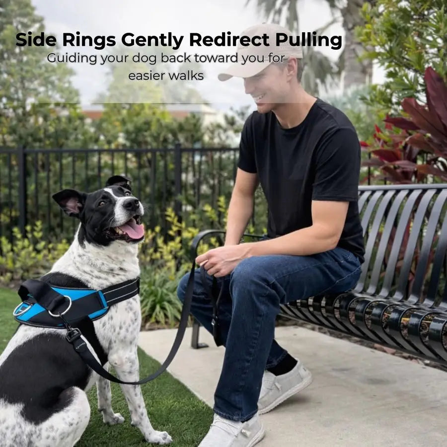 NoPull Dog Harness With 3 Leash Clips Reflective Adjustable