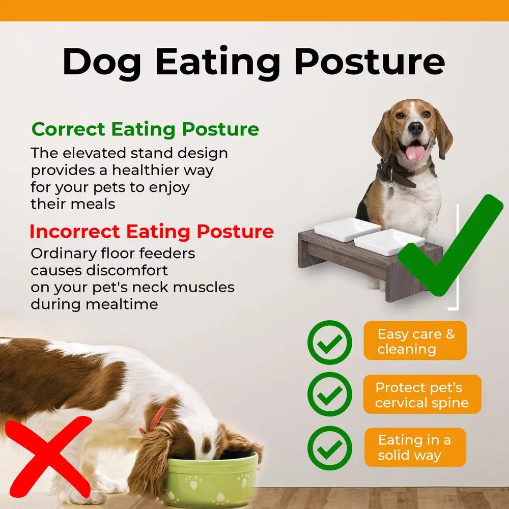 Artisan Diner Double Dog Feeder With Ceramic Bowls