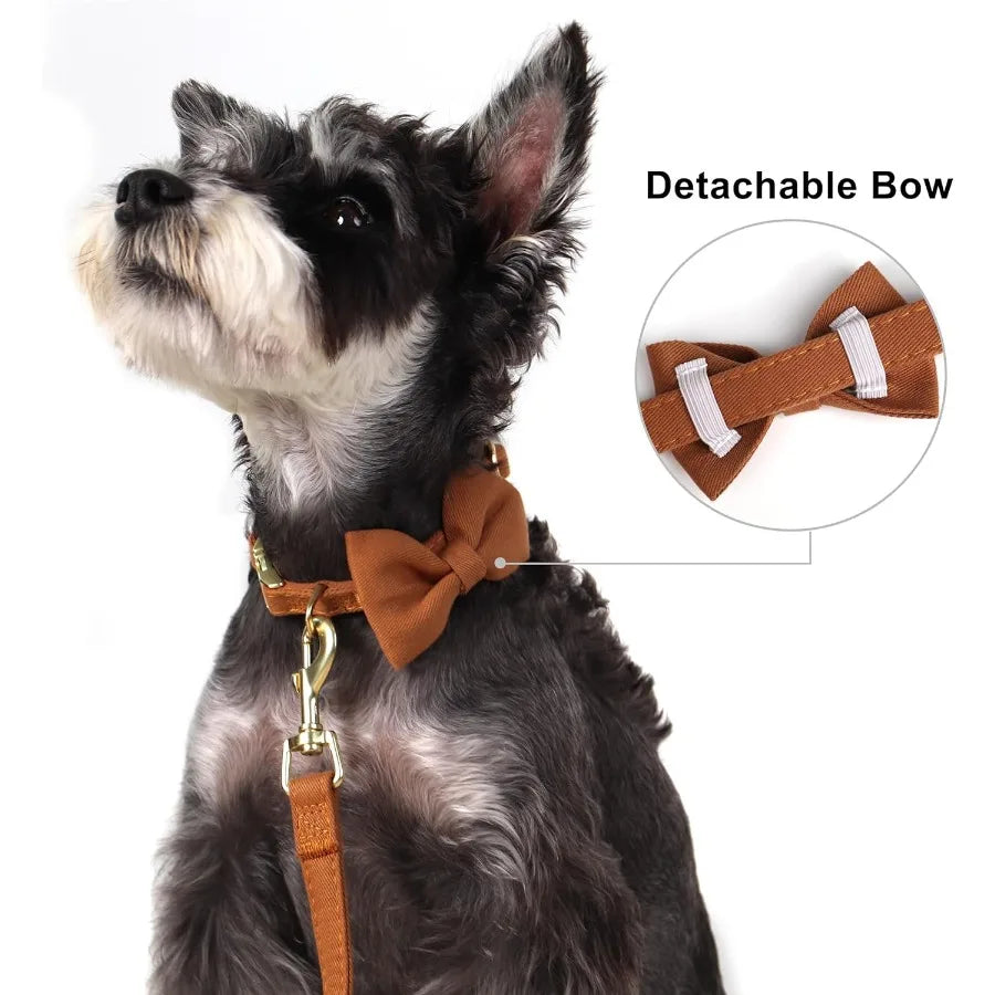 Dog Harness Set With Detachable Bows Adjustable Step In Harness Leash