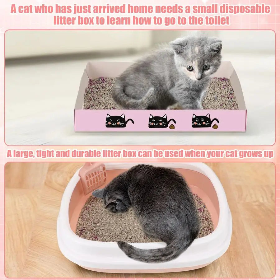 Kitten Starter Kit Indoor Cats With Toys Litter Box Hammock