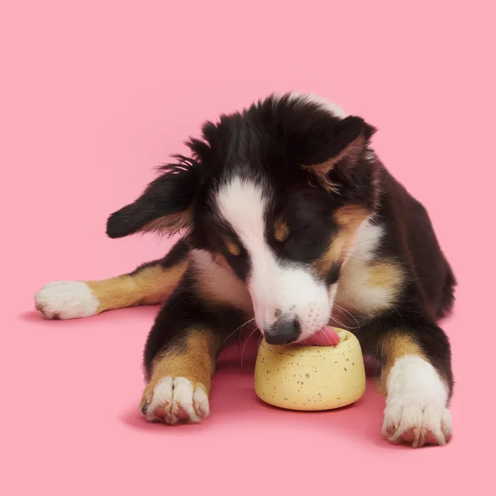 Hign-concerned Chemical Cinnamutt Roll Super Chewer Vanilla Toy