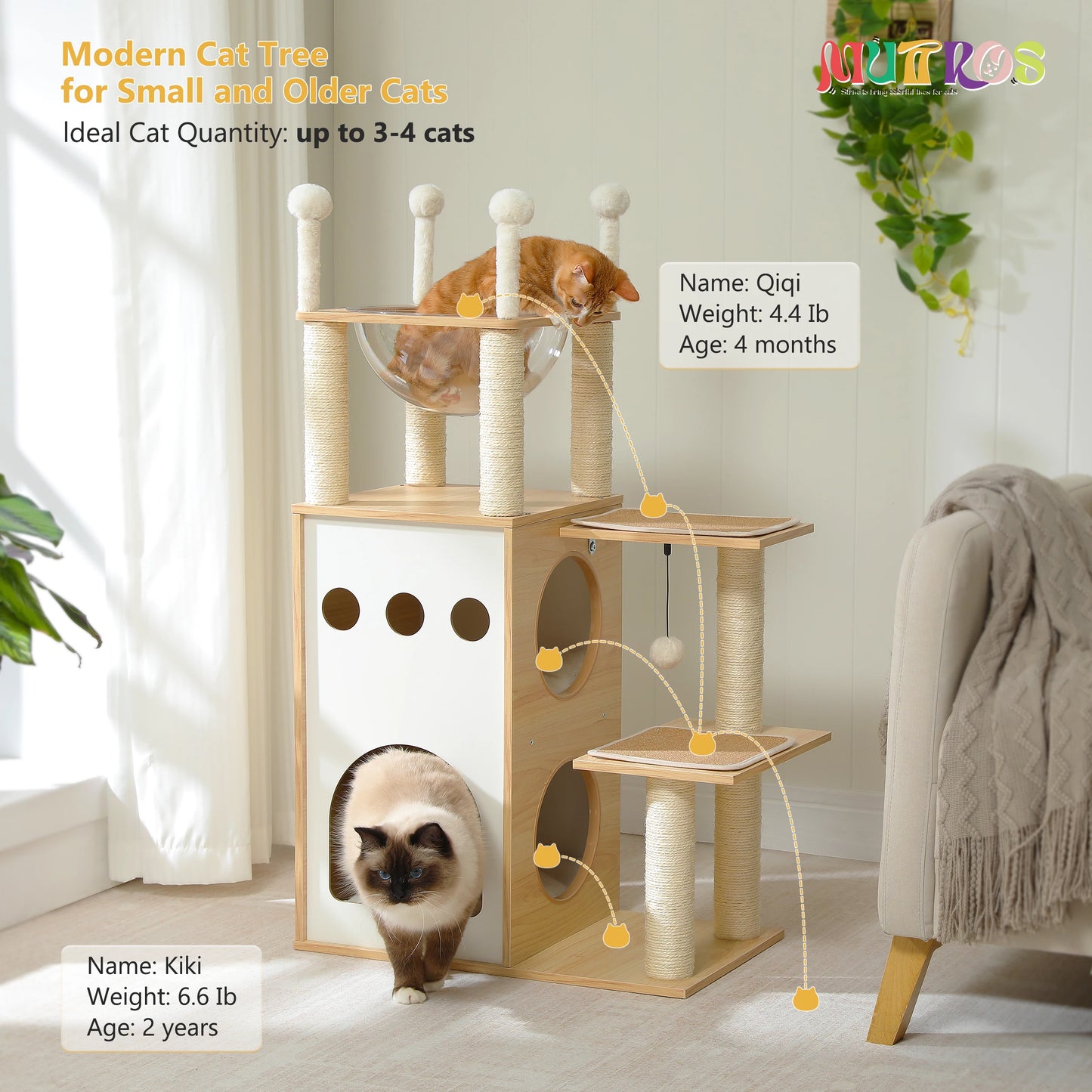 PETEPELACN Modern Cat Tree Tower with Condo and Scratching Posts