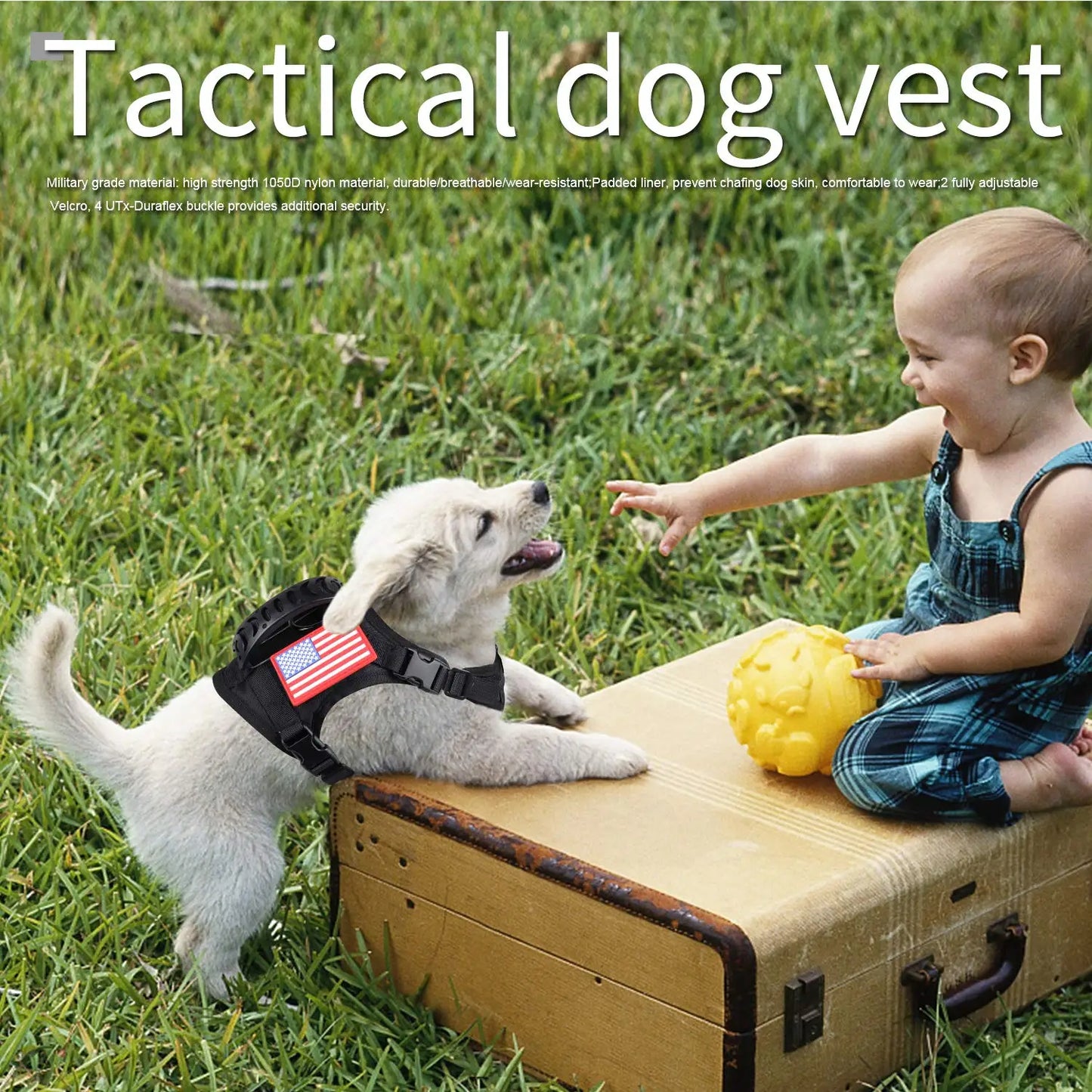 PETRAVELCN Tactical Puppy Harness Leash Set For Training And Walking