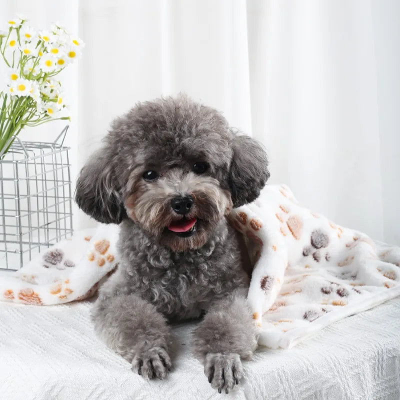 Soft Fluffy Pet Blanket Fleece Paw Print Mat for Dogs