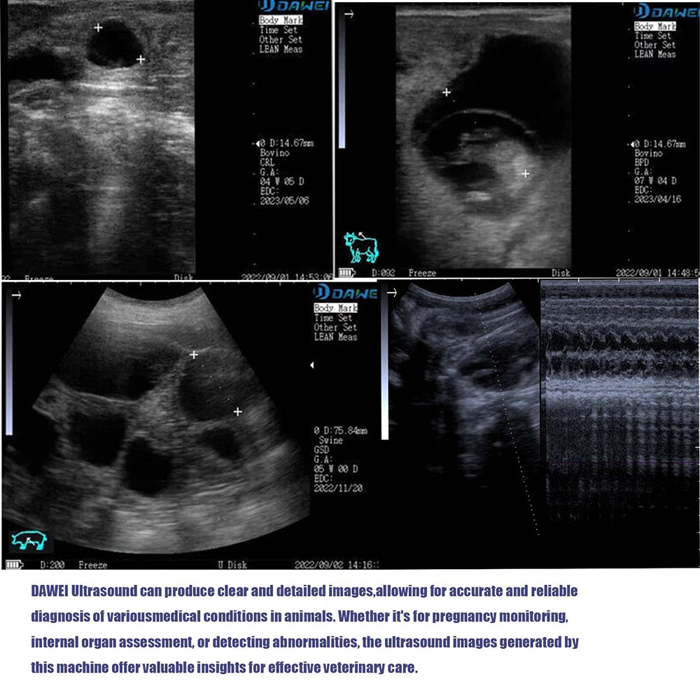 DAWEI Handheld Veterinary Ultrasound Scanner For Farm Animals Pregnancy Testing