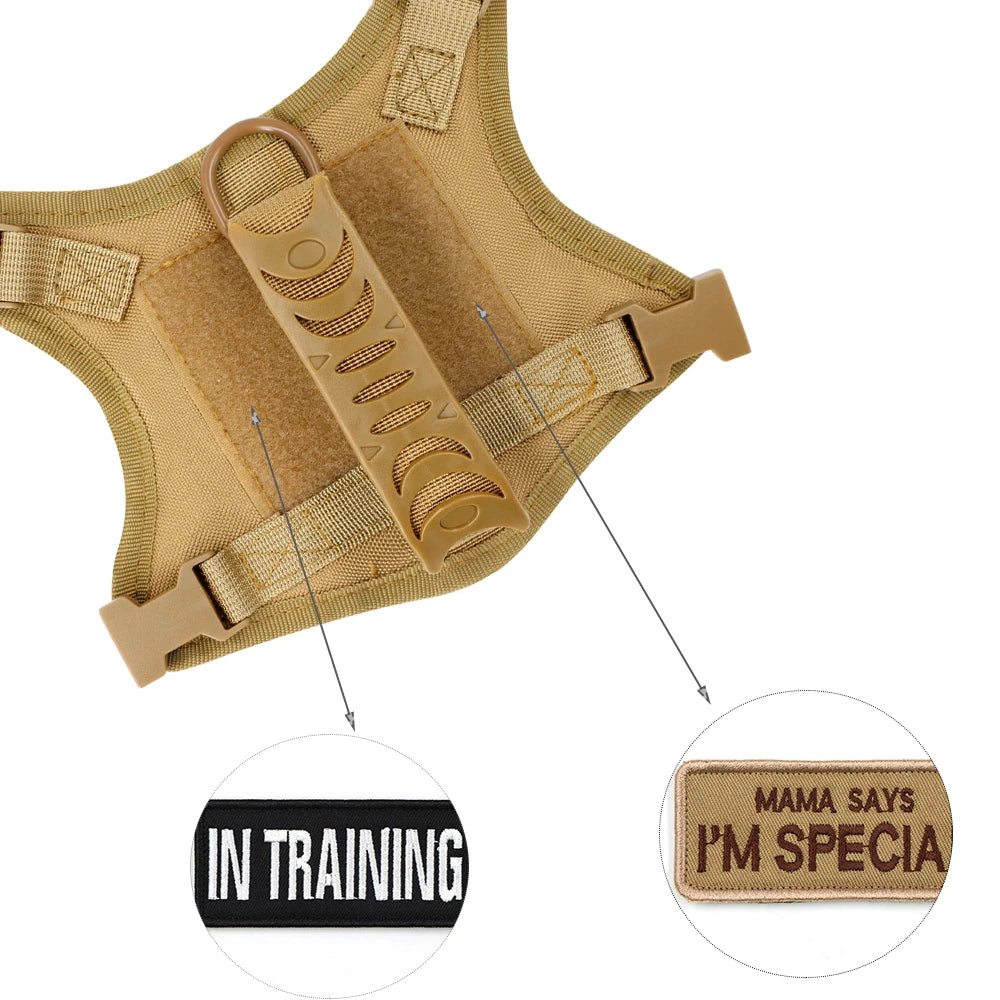 PETRAVELCN Tactical Puppy Harness Leash Set For Training And Walking