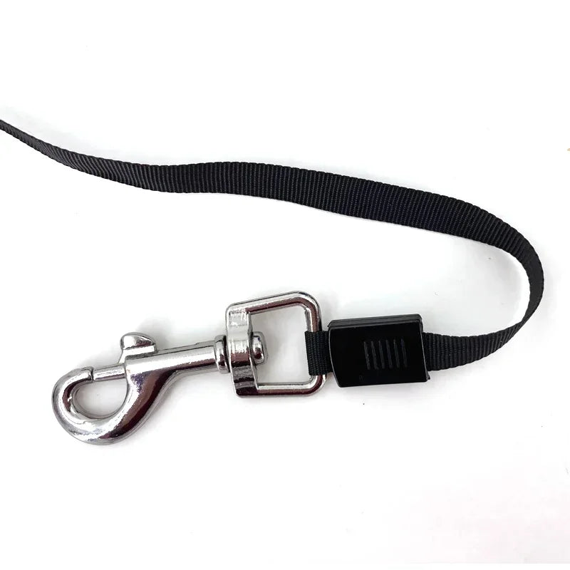 Retractable Dog Leash Automatic Flexible for Pets