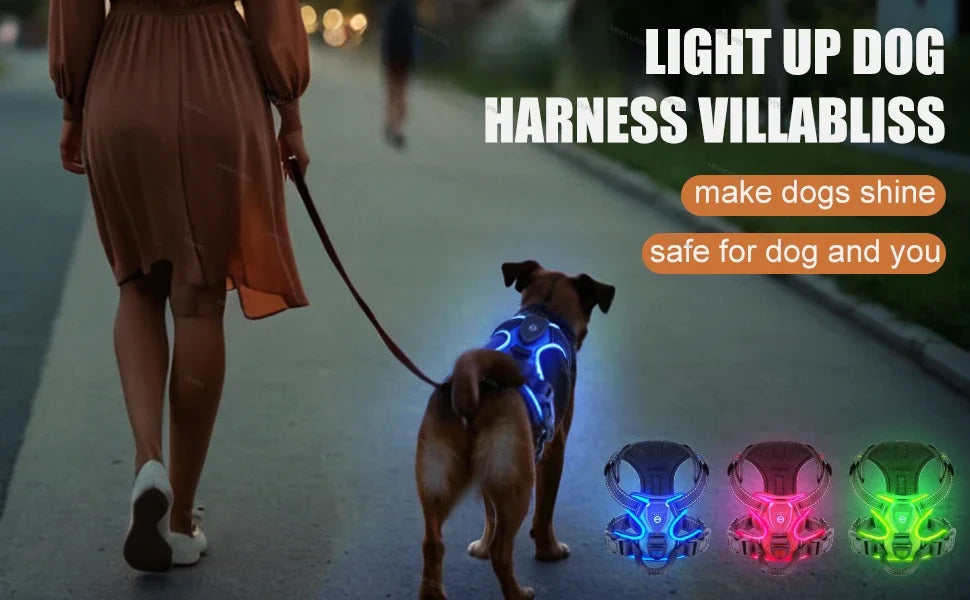 Nonecn LED Luminous Dog Harness No Pull Adjustable Vest