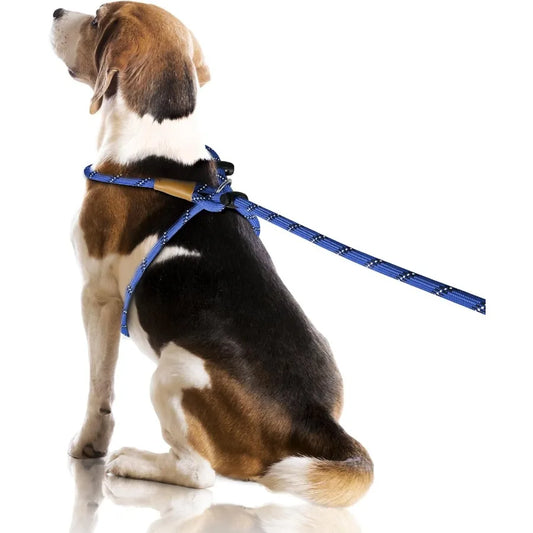 3 In 1 Adjustable No Pull Harness Reflective Leash Collar