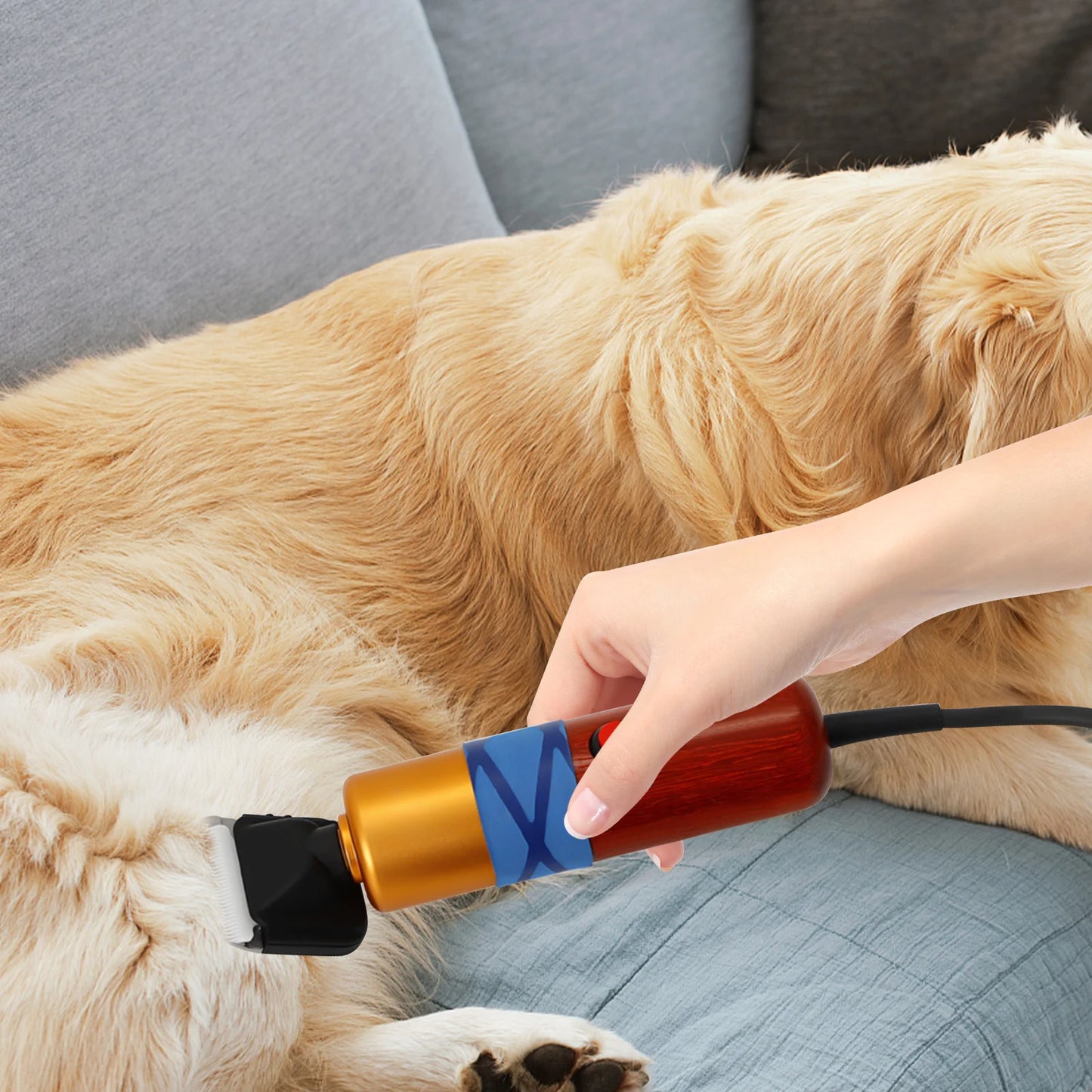 Low Noise Pet Hair Clipper Professional Electric Trimmer for Pets