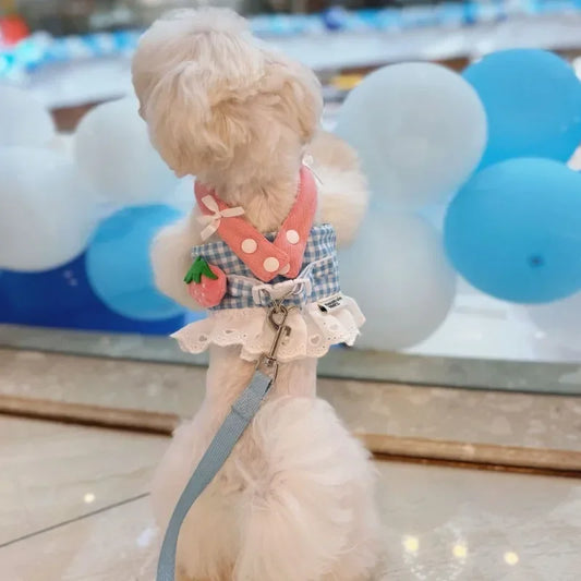 YTYINCN Strawberry Lace Dog Harness Leash Set Vest