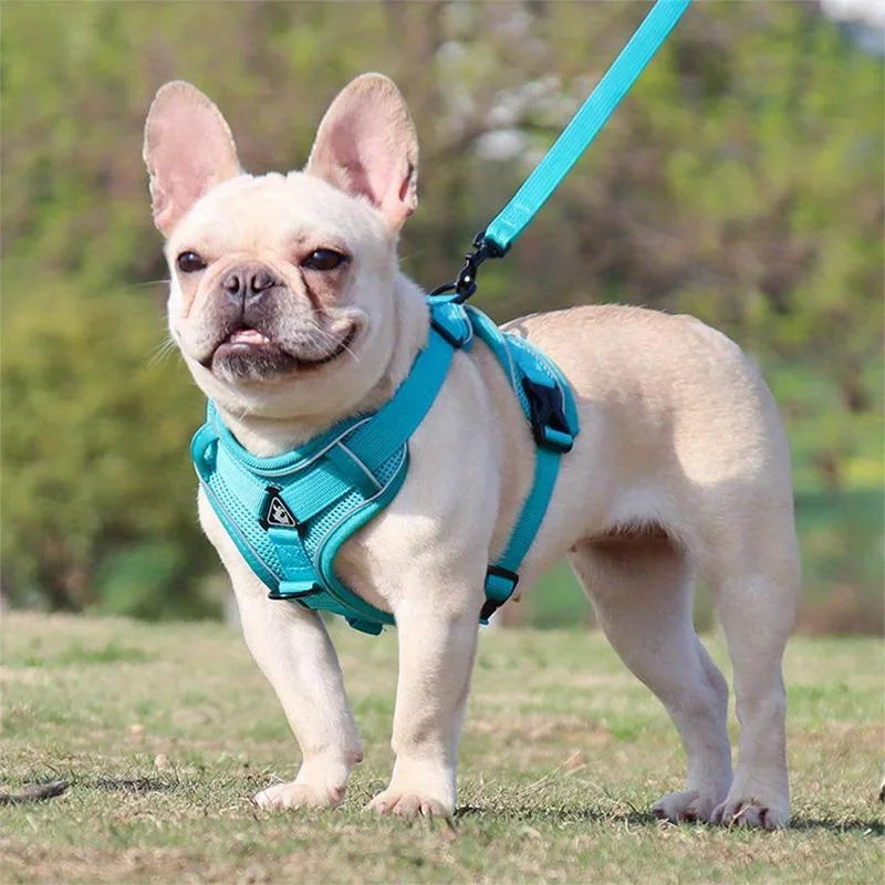NONECN No Pull Dog Harness And Leash Set Reflective