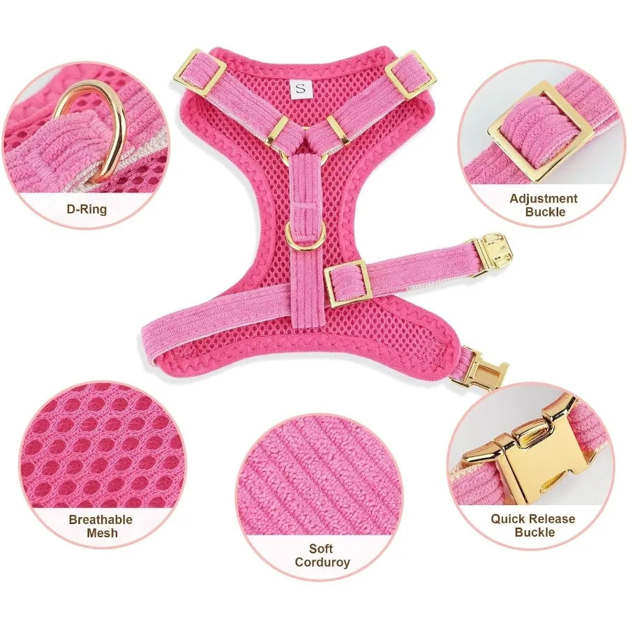 Cute Dog Harness Set With Bowtie Leash Breathable Mesh Vest