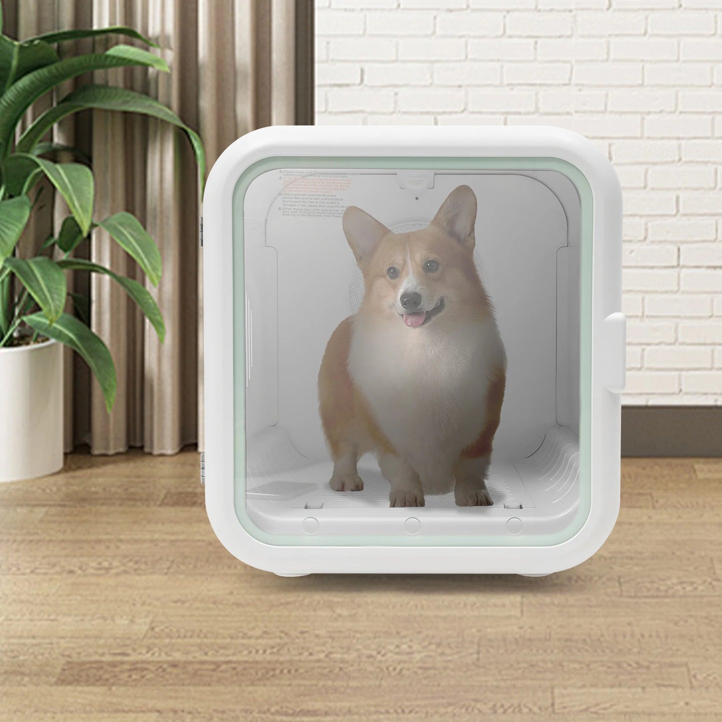 Automatic Pet Dryer For Dogs And Cats With Temperature Control