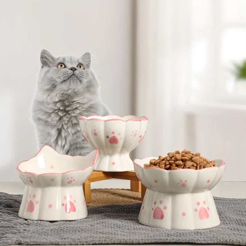 Ceramic Elevated Pet Bowl Set for Dogs and Cats