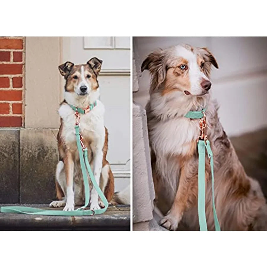 Soft Leather Dog Collar And Leash Set Metal Buckle