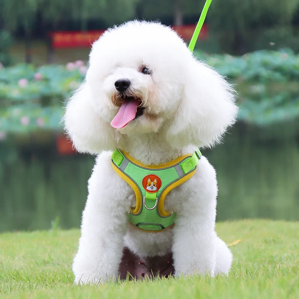 Adjustable Dog Harness And Leash Set Reflective For Pets Walking