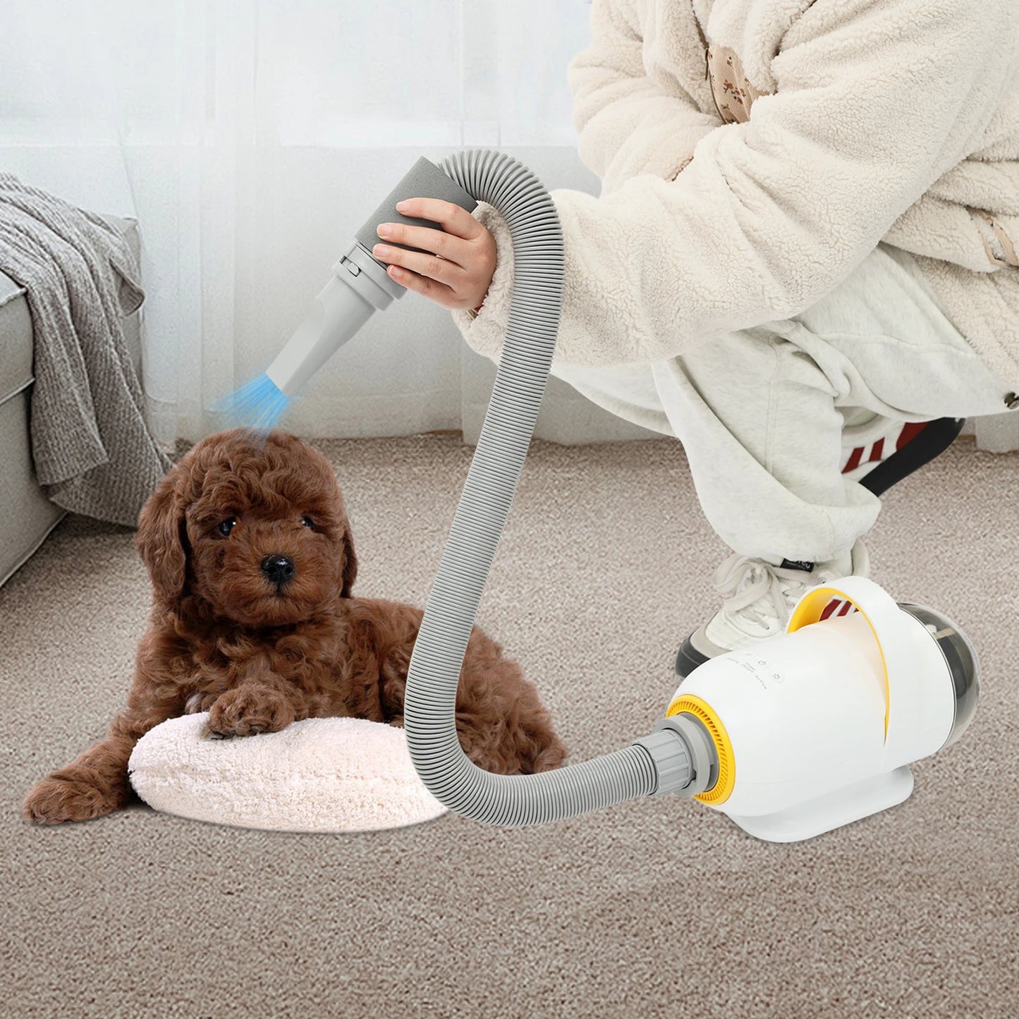 Automatic Pet Dryer Machine For Cats And Dogs Grooming