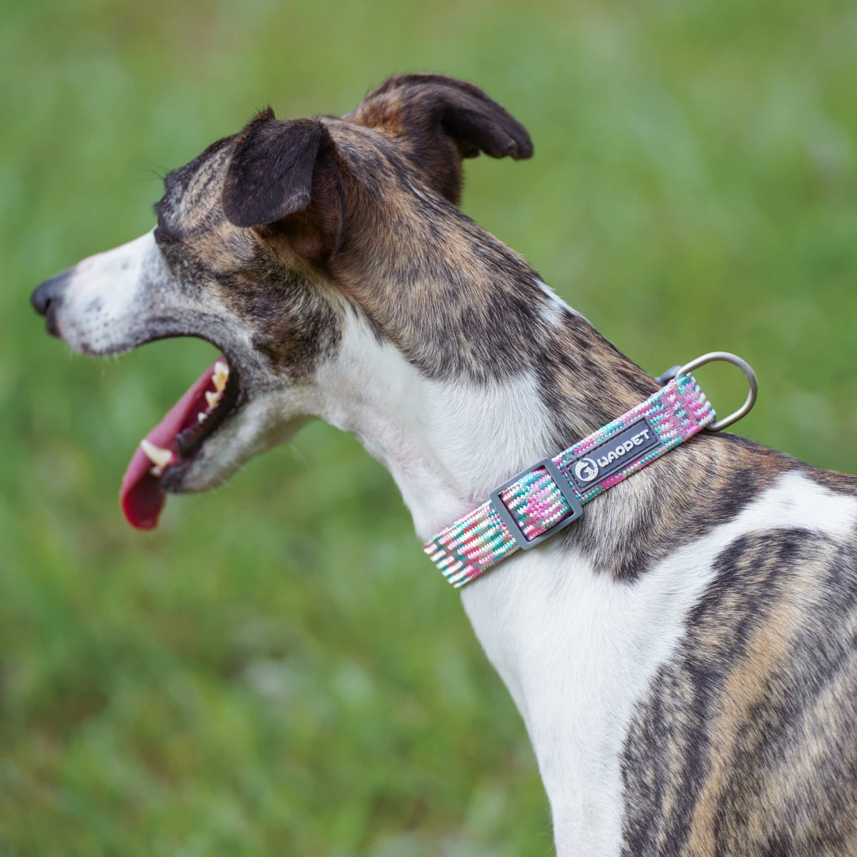 Dog Leash And Collar Set Reflective Quick Release For Dogs