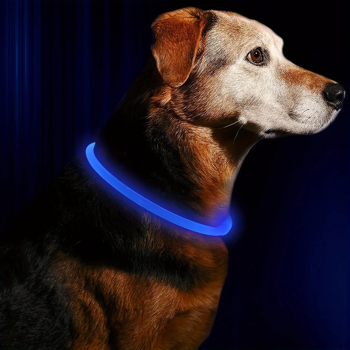 LED Light Dog Collar USB Rechargeable Luminous Anti Lost Necklace