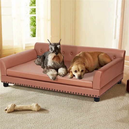 BINGOPAW Luxury Raised Dog Sofa Bed