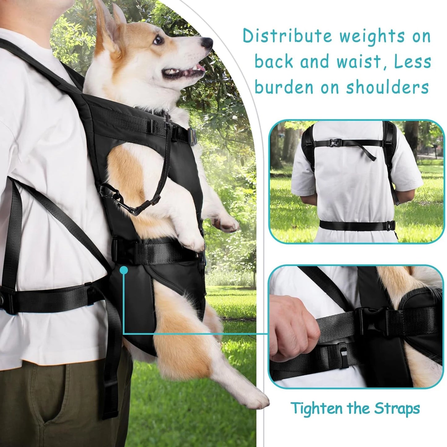 Pet Carrier Backpack For Dogs And Cats Thickened Sponge Comfort
