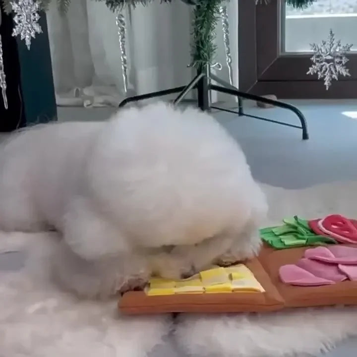 Hign-concerned Menu Shape Dog Hidden Food Smell Mat Puzzle Toy