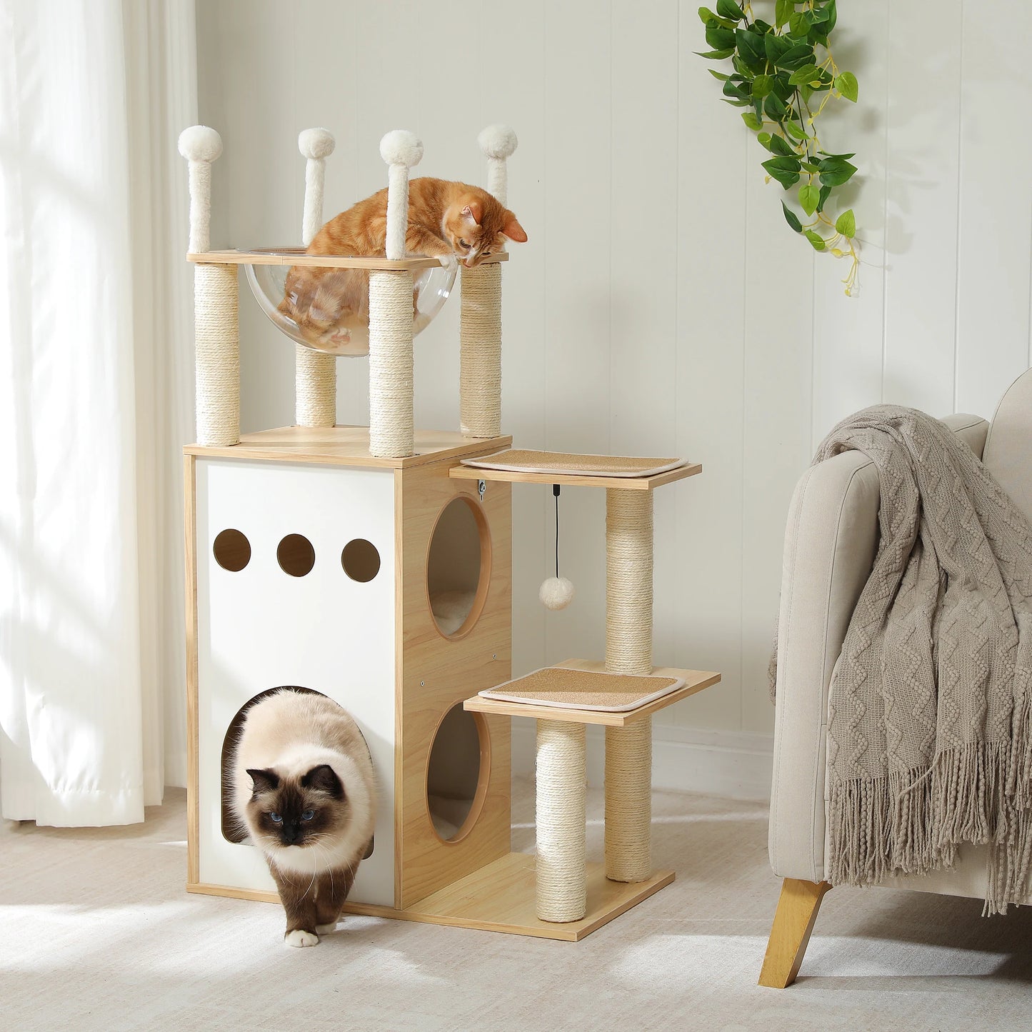 PETEPELACN Modern Cat Tree Tower with Condo and Scratching Posts