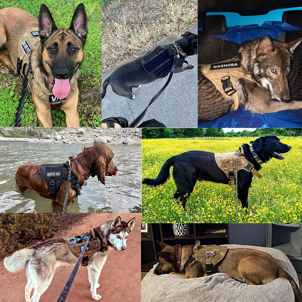 PETRAVEL CN Military Large Dog Harness Vest Set Patches For Malinois Training