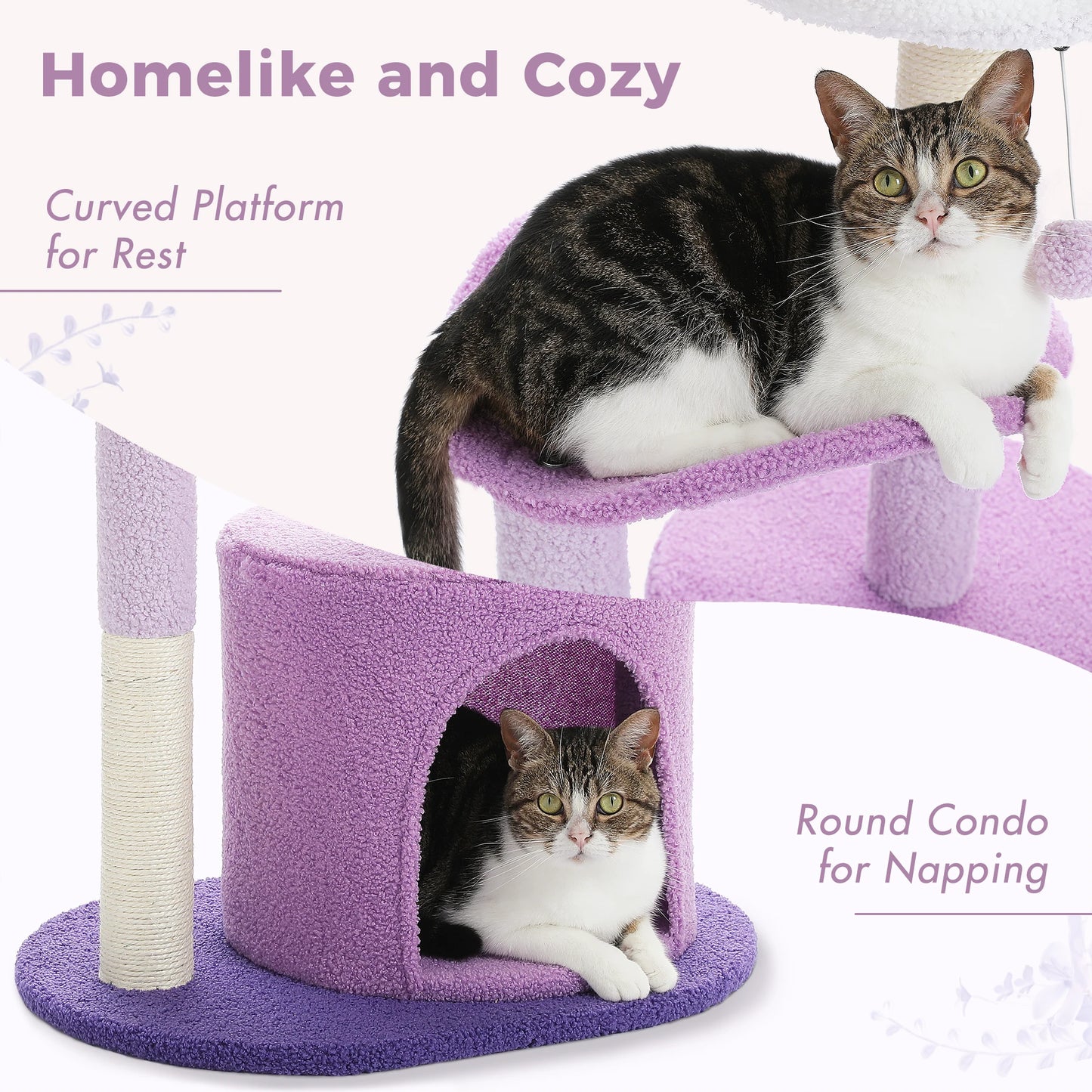 PAWZ Road Cactus Cat Tree With Curved Perch Cozy Condo