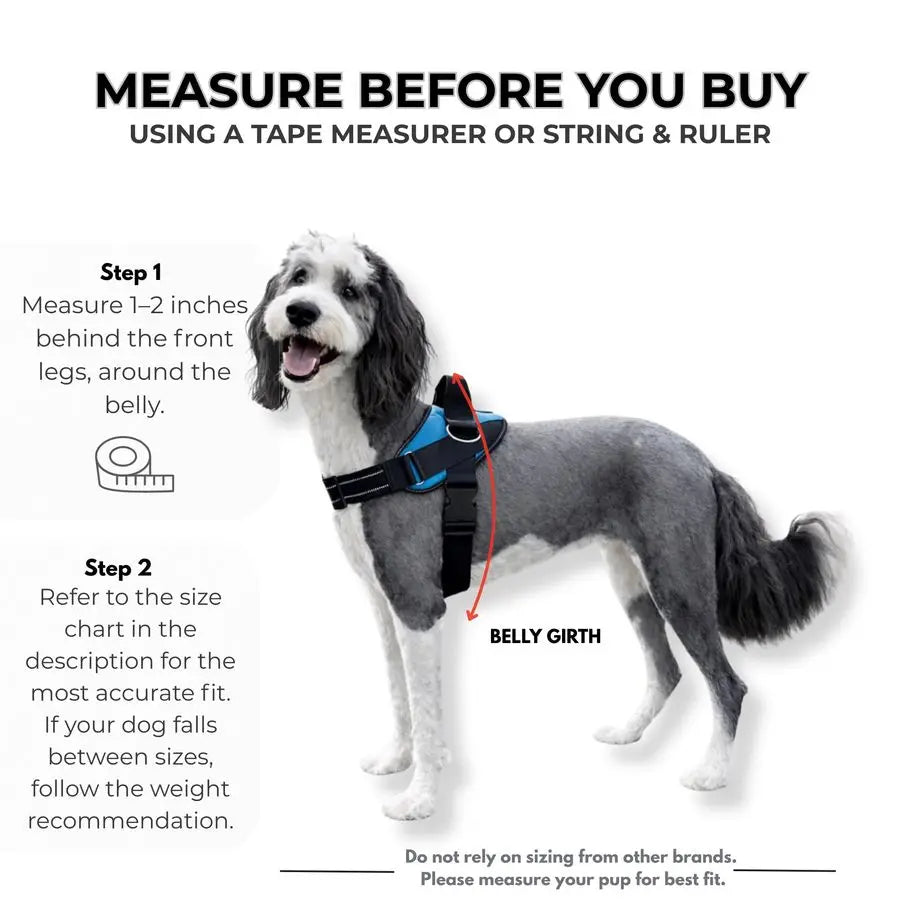NoPull Dog Harness With 3 Leash Clips Reflective Adjustable