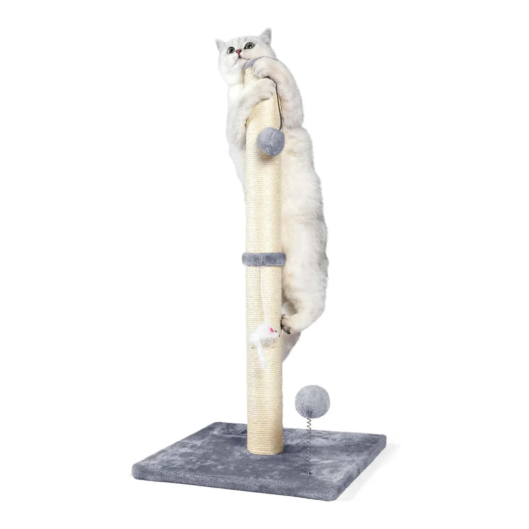 Guangdong Cat Scratching Posts Double Tier With Sisal Rope