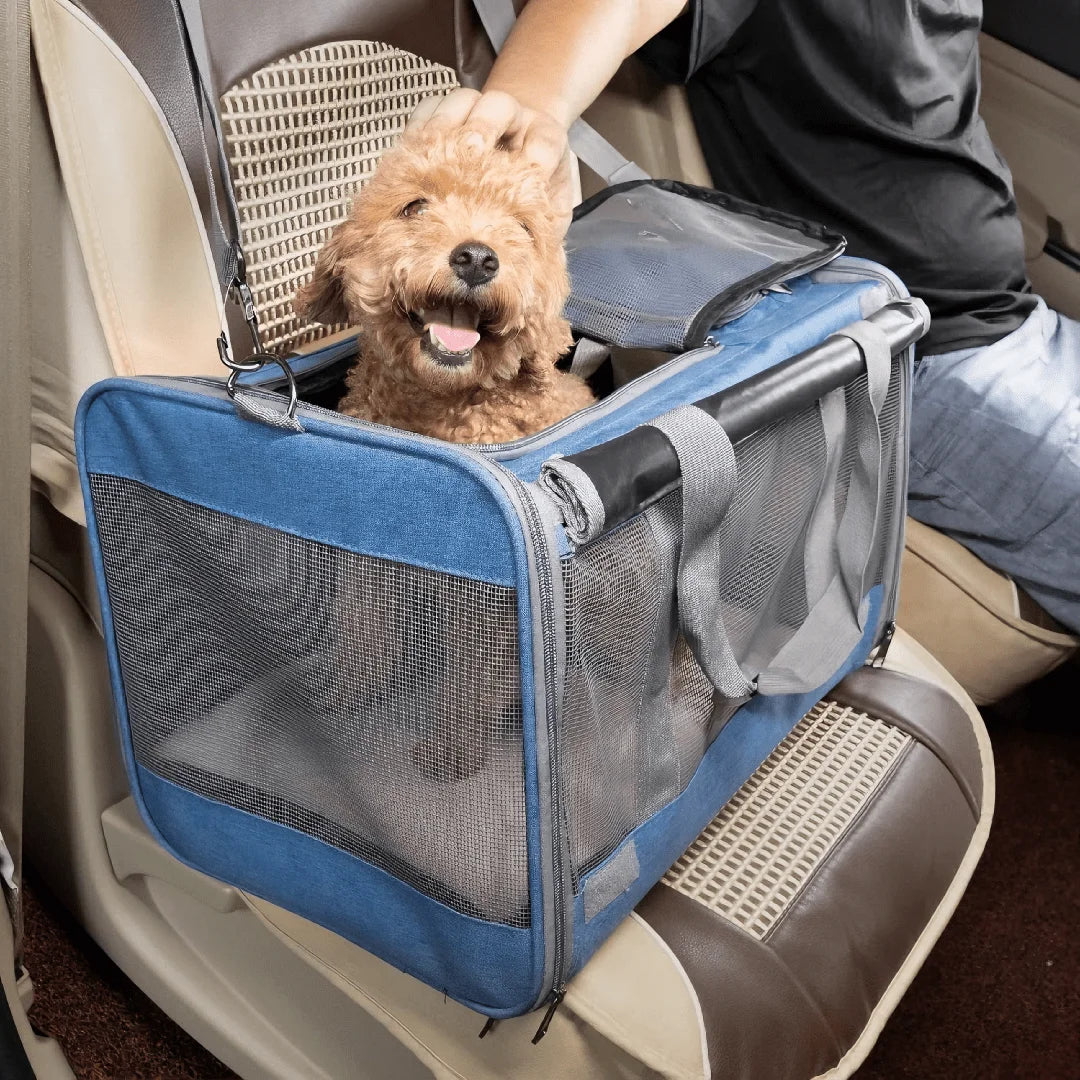 Airline Approved Foldable Pet Travel Cage for Cats and Dogs