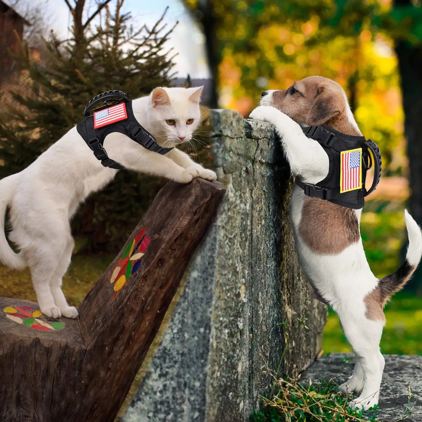 PETRAVELCN Tactical Puppy Harness Leash Set For Training And Walking