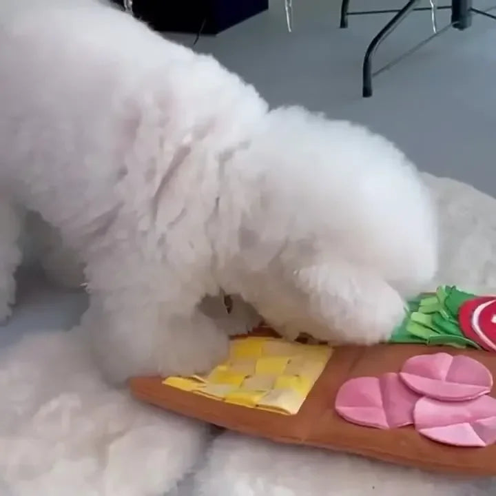 Hign-concerned Menu Shape Dog Hidden Food Smell Mat Puzzle Toy
